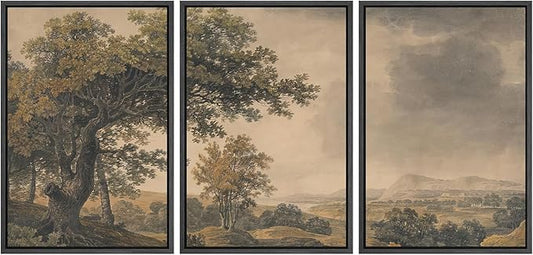 MUDECOR Framed Wall Art Print Set Vintage Landscape Rustic Tree and Mountain View Illustrations Decorative Colorful for Living Room, Bedroom, Office - 24"x36"x3 Black