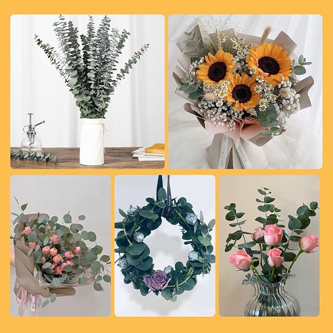 16 Pcs Dried Eucalyptus Stems, 17'' Natural Fresh Eucalyptus Leaves Branches Hanging for Shower, Preserved Real Plant Live Greenery for Home SPA Wall Bathroom Wedding Party Vase Decor