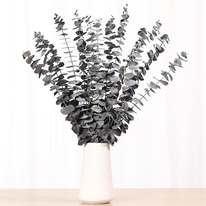 16 Pcs Dried Eucalyptus Stems, 17'' Natural Eucalyptus Leaves Branches Hanging for Shower, Preserved Real Black Plant Live Greenery for Home SPA Wall Bathroom Wedding Party Vase Decor