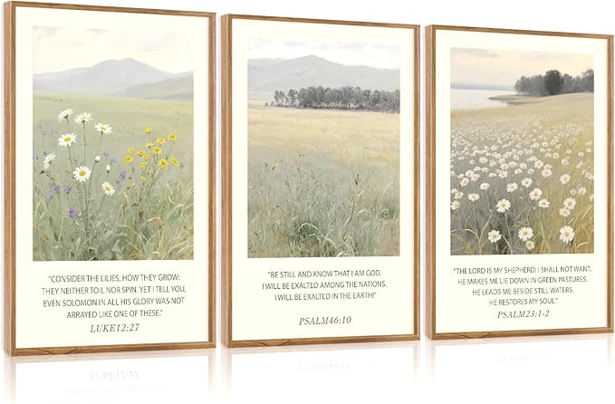 Aurlan Christian Bible Verses Scripture Framed Wall Art(24"x36"), 3PCS Boho Wildflowers Landscape Nature Canvas Artwork, Religious Luke12:27 Psalm46:10 Psalm23:1-2 Jesus Faith Gift Decor for Home Office Bedroom
