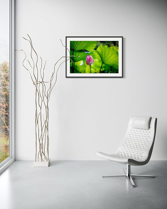 Oriental Beauty: Stunning Feng Shui Landscape Wall Art Prints for Home Decor in 3 Sizes (Graceful Emergence: Lotus Blossom and Its Visitor) (20" x 30")