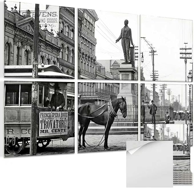 Acoustic Wall Panel 6 Pack, 23.6"x23.6"Decorative Art Soundproof Panel, Sound Absorb Self-Adhesive Panel, Acoustic Treatment for Studio, Home Theater, Office (Horsecar Opera 1890)