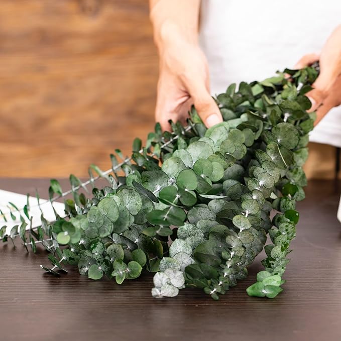 16 Pcs Dried Eucalyptus Stems, 17'' Natural Fresh Eucalyptus Leaves Branches Hanging for Shower, Preserved Real Plant Live Greenery for Home SPA Wall Bathroom Wedding Party Vase Decor