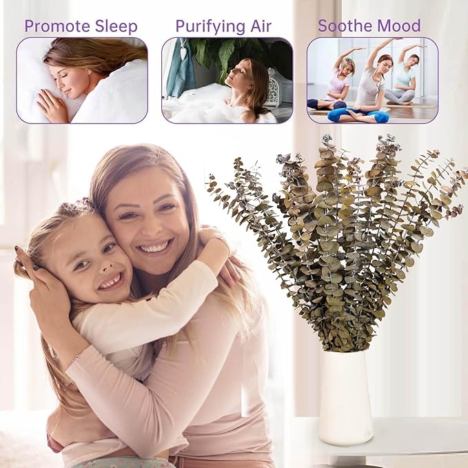 16 Pcs Dried Eucalyptus Stems, 17'' Natural Fresh Eucalyptus Leaves Branches Hanging for Shower, Preserved Real Yellow Plant Live for Home SPA Wall Bathroom Wedding Party Vase Decor