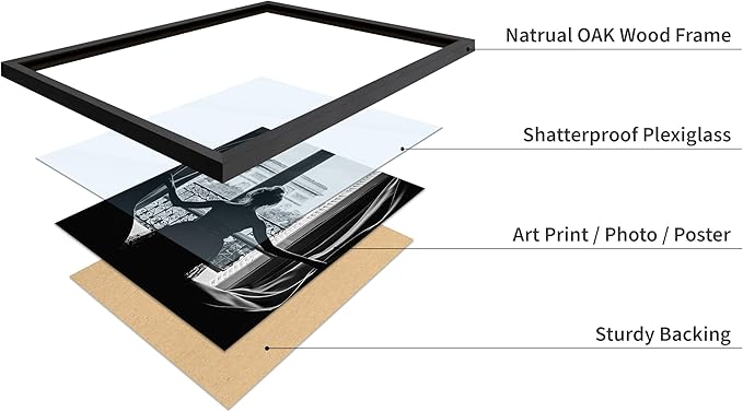 Poster Master Vintage Photograph Poster - Retro Minimalist Print - Girl In The Open Window, Black & White, Simple - Gift for Artist, Friend - Wall Decor for Living Room, Dorm, 16x20 Black Framed