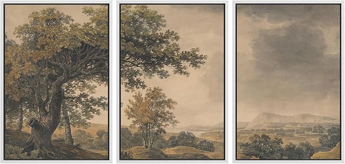 MUDECOR Framed Wall Art Print Set Vintage Landscape Rustic Tree and Mountain View Illustrations Decorative Colorful for Living Room, Bedroom, Office - 24"x36"x3 White