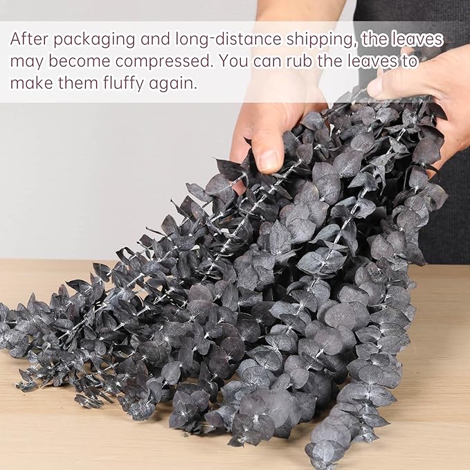 16 Pcs Dried Eucalyptus Stems, 17'' Natural Fresh Eucalyptus Leaves Branches Hanging for Shower, Preserved Real Purple Plant Live for Home SPA Wall Bathroom Wedding Party Vase Decor