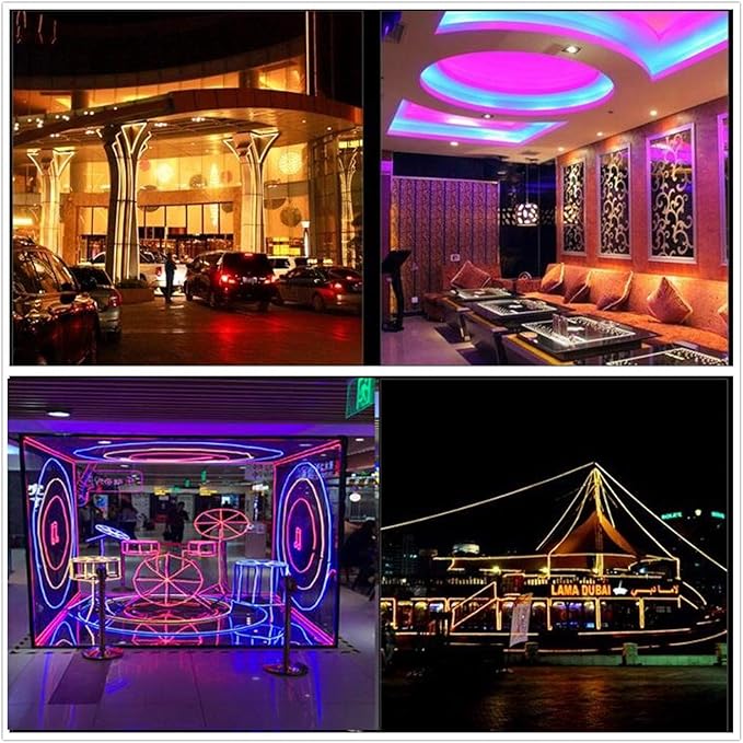 360° Neon Led Type AC 110-120V 360 Degree NEON LED Light Strip, Flexible/Waterproof/Dimmable/Multi-Modes LED Rope Light + Remote for Home/Garden/Building Decor (65.6ft/20m, White 6000K)