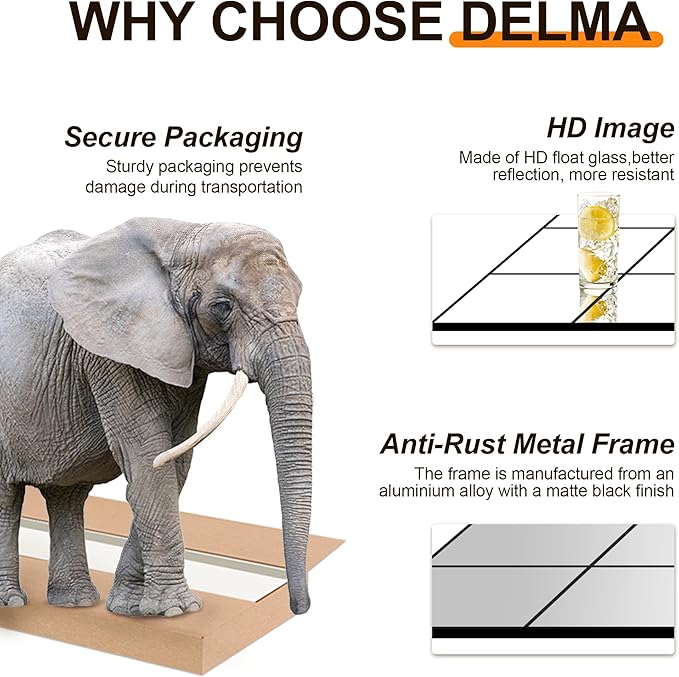 Delma Full Length Mirror, 28"x 55" Window Pane Decorative Mirror for Wall, Black Metal Framed Wall Decor, Wall Mounted, Hanging or Leaning for Bedroom, Living Room, Entryway