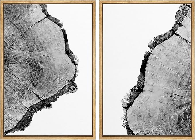 SIGNWIN Framed Wall Art Print Set Black & White Close Up Tree Ring Details Nature Wilderness Photography Modern Art Rustic Relax/Calm Multicolor for Living Room, Bedroom, Office - 16"x24"x2 Natural