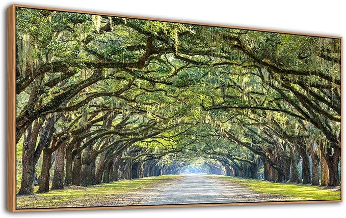 arteWOODS Framed Canvas Wall Art - Green Forest Canvas Pictures Oak Trees Covered Lane Art Print Green Nature Landscape Artwork Oak Trees Lined Road at Georgia Home Decor 29" x 58"