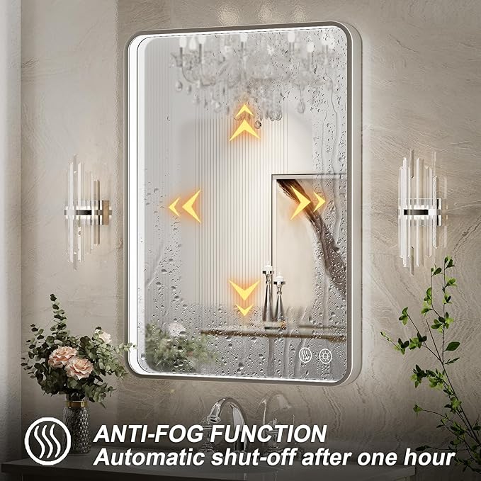 LED Bathroom Mirror with Lights,24x32 Inch Brushed Silver Framed Lighted Vanity Mirror,Anti Fog Stepless Dimmable Wall Mounted(Horizontal/Vertical)