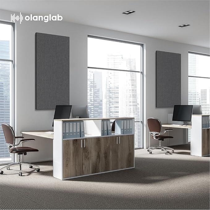 Olanglab Acoustic Panels 2 Pack, 48''x24'' Large Sound Panels, Fabric Wrapped Sound Proof Foam Panels for Walls, Sound Absorbing Panels for Recording Studio Acoustical Treatments (Dark Gray)