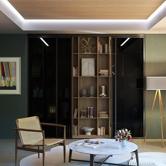 4 Panel Glass Room Divider and Sliding Glass Closet Doors - Smoked Frosted Partition Wall - Clear, Smoked and Frosted Glass Sliding Doors Options (Smoked Glass, 96x80)