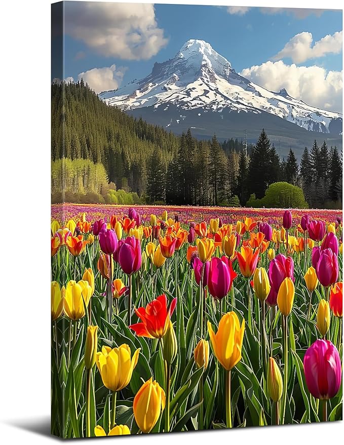 Mt Hood Mountain Wall Art Yellow Flowers Wall Decor Snow Mountains Landscape Canvas Prints Tulips Flower Field Scenery Pictures Nature Forest Artwork for Bedroom Living Room Home Decoration 12x16"