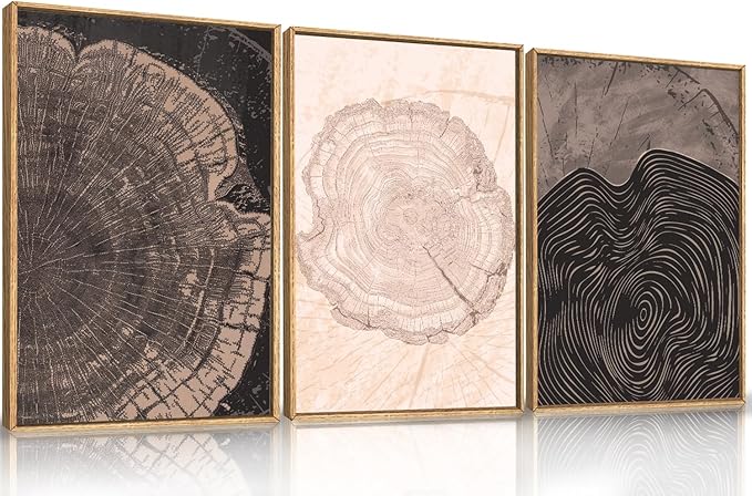 Beige Pastel Wood Tree Rings Framed Canvas Wall Art Set,Modern Nature Grey Wood Stump Wall Decor,Vintage Minimalist Tree Spiral Art Print for Living Room,Bedroom,Dining Room,Office-16 x24 x3