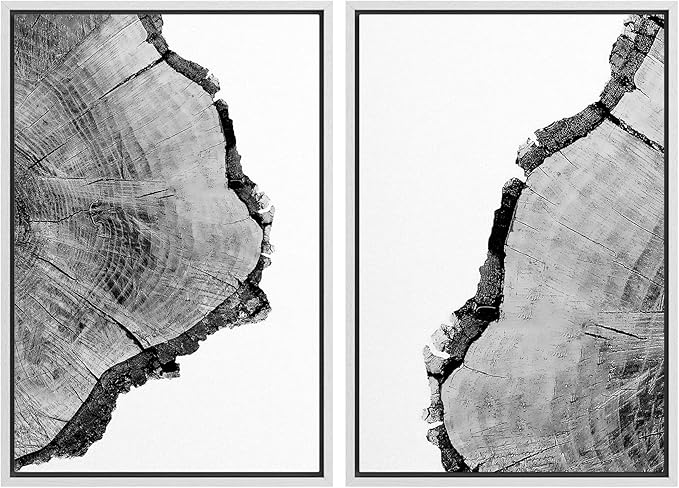 SIGNWIN Framed Wall Art Print Set Black & White Close Up Tree Ring Details Nature Wilderness Photography Modern Art Rustic Relax/Calm Multicolor for Living Room, Bedroom, Office - 24"x36"x2 White