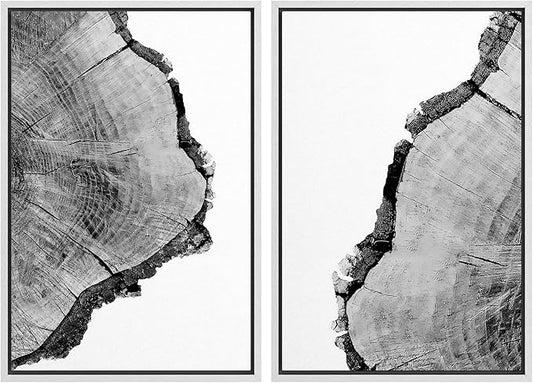 SIGNWIN Framed Wall Art Print Set Black & White Close Up Tree Ring Details Nature Wilderness Photography Modern Art Rustic Relax/Calm Multicolor for Living Room, Bedroom, Office - 24"x36"x2 White