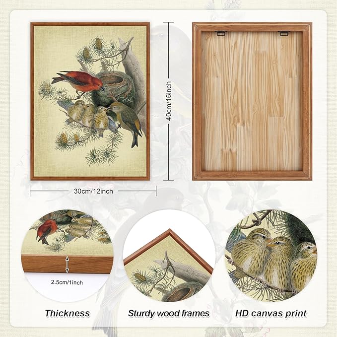 LHIUEM Audubon Birds Painting Framed Set of 3(12”X16”)Vintage Hummingbird Framed Prints Spring Birds Pictures Wall Decor Floral Bird Canvas Wall Art Farmhouse Bird Canvas Framed for Bedroom Livingroom