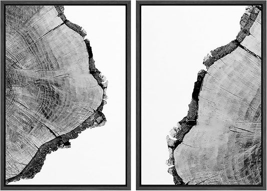 SIGNWIN Framed Wall Art Print Set Black & White Close Up Tree Ring Details Nature Wilderness Photography Modern Art Multicolor for Living Room, Bedroom, Office - 24"x36"x2 Black