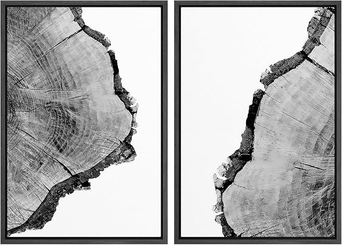 SIGNWIN Framed Wall Art Print Set Black & White Close Up Tree Ring Details Nature Wilderness Photography Modern Art Rustic Relax/Calm Multicolor for Living Room, Bedroom, Office - 16"x24"x2 Black