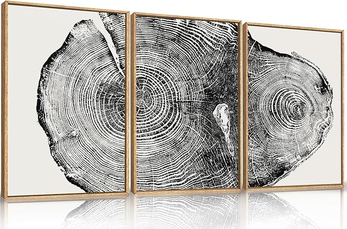 Large Vintage Tree Ring Framed Canvas Wall Art,Abstract Wood Stump Wall Decor,Neutral Annual Ring Artwork,Modern Black and White Art Print for Living Room,Bedroom,Office- 24"x36"x3