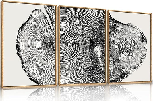 Large Vintage Tree Ring Framed Canvas Wall Art,Abstract Wood Stump Wall Decor,Neutral Annual Ring Artwork,Modern Black and White Art Print for Living Room,Bedroom,Office- 16"x24"x3