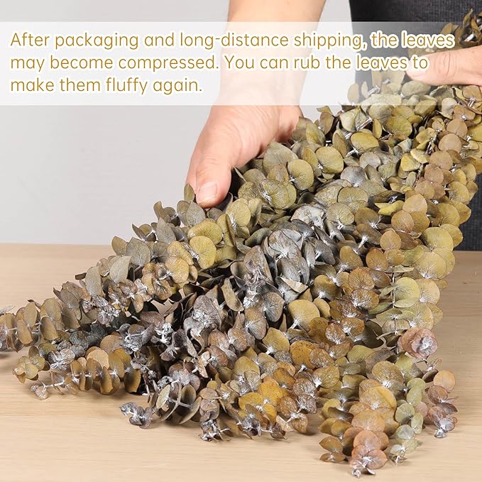 16 Pcs Dried Eucalyptus Stems, 17'' Natural Fresh Eucalyptus Leaves Branches Hanging for Shower, Preserved Real Yellow Plant Live for Home SPA Wall Bathroom Wedding Party Vase Decor