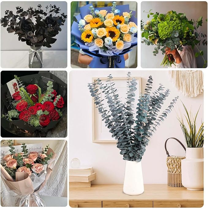 16 Pcs Dried Eucalyptus Stems, 17'' Natural Fresh Eucalyptus Leaves Branches Hanging for Shower, Preserved Real Blue Plant Live for Home SPA Wall Bathroom Wedding Party Vase Decor
