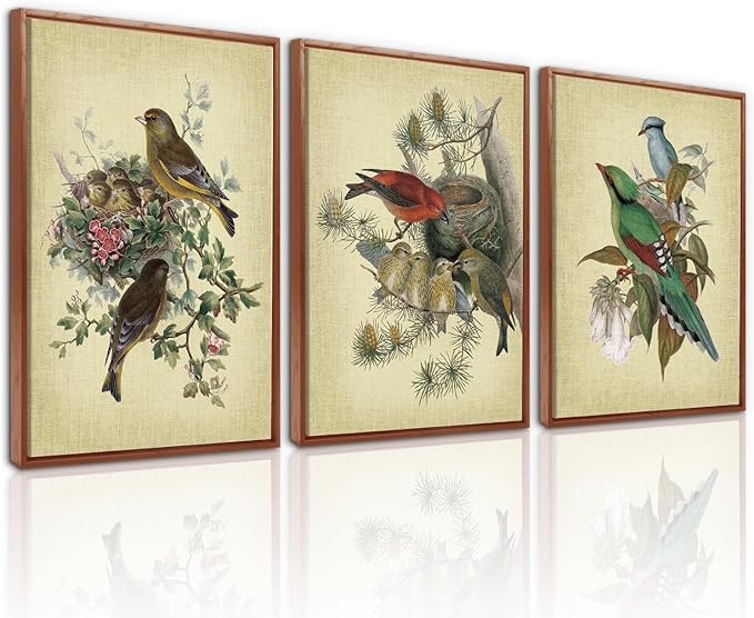 LHIUEM Audubon Birds Painting Framed Set of 3(12”X16”)Vintage Hummingbird Framed Prints Spring Birds Pictures Wall Decor Floral Bird Canvas Wall Art Farmhouse Bird Canvas Framed for Bedroom Livingroom