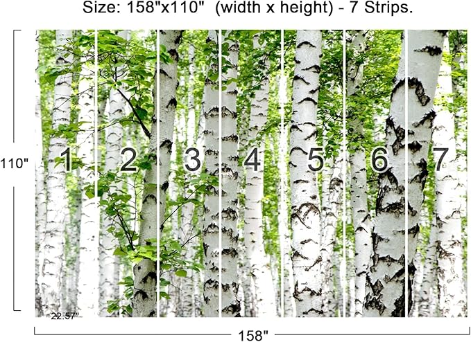 Cliouar-Photo Wallpaper Birch Forest Landscape Trees Poster Nature Lovers Green Forest Bedroom Decoration Mural 158"x110"(Not Self-Adhesive)