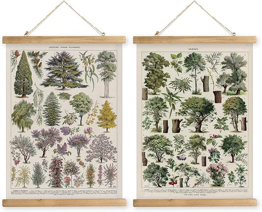 MIDEFINCH Vintage Botanical Wall Art Set - Set of 2 Retro Tree and Plant Illustrations, Hanging Wooden Frame Posters for Home Decor, 16x23 Inches