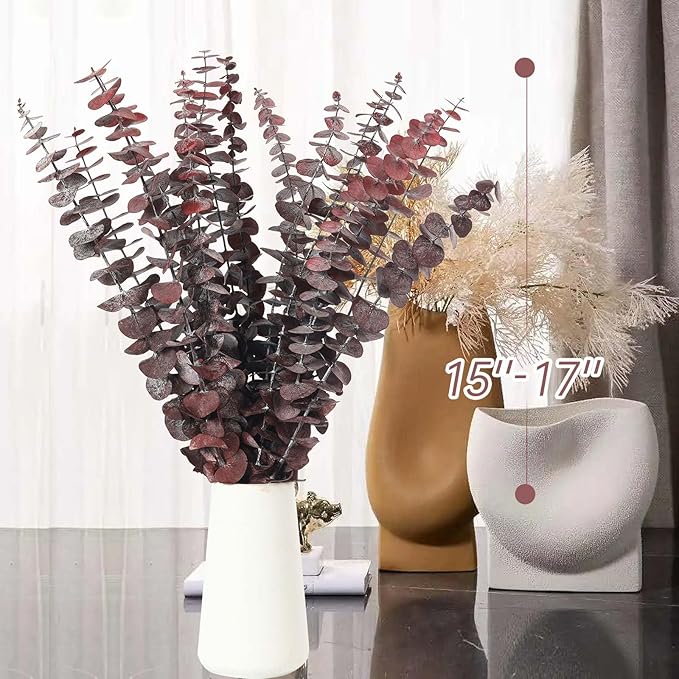 16 Pcs Dried Eucalyptus Stems, 17'' Natural Fresh Eucalyptus Leaves Branches Hanging for Shower, Preserved Real Red Plant Live Greenery for Home SPA Wall Bathroom Wedding Party Vase Decor