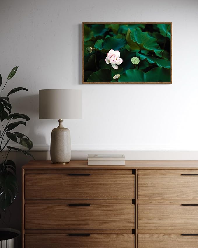 Oriental Beauty: Stunning Feng Shui Landscape Wall Art Prints for Home Decor in 3 Sizes (Serenity of a Lotus Blossom, 20" x 30")