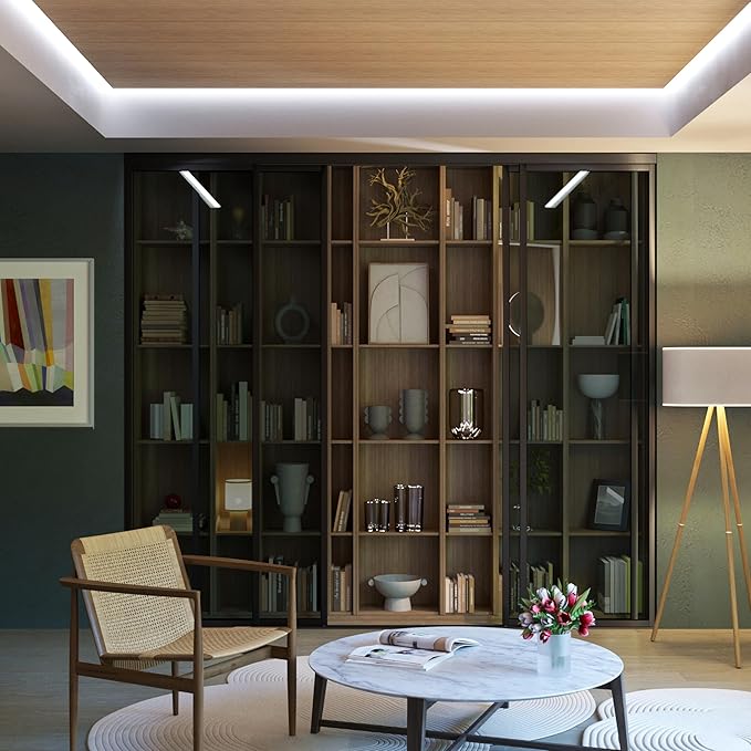 4 Panel Glass Room Divider and Sliding Glass Closet Doors - Smoked Frosted Partition Wall - Clear, Smoked and Frosted Glass Sliding Doors Options (Lite Smoked Glass, 120x80)