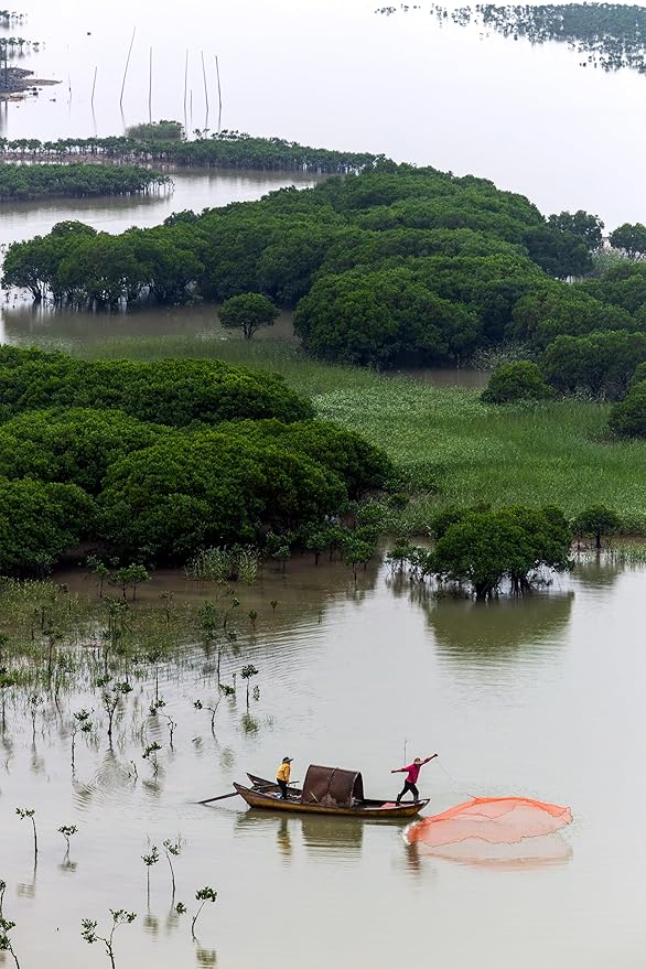 Oriental Beauty: Stunning Feng Shui Landscape Wall Art Vertical Prints for Home Decor in 3 Sizes (Casting Nets in the Mangrove Waters, 12" x 18", Oriental Beauty)
